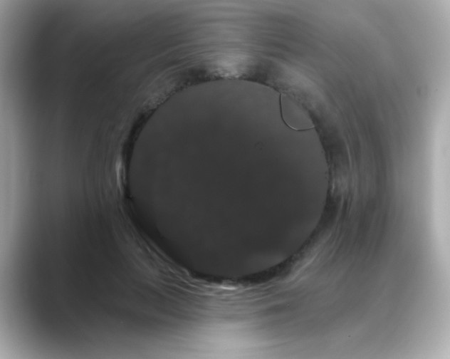 X0000089760647200706211544