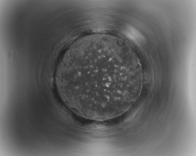 X0000089760648200706211544