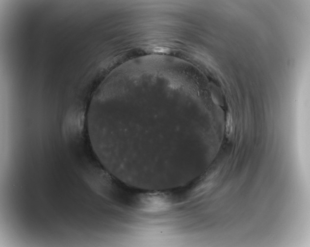 X0000089760652200706211544