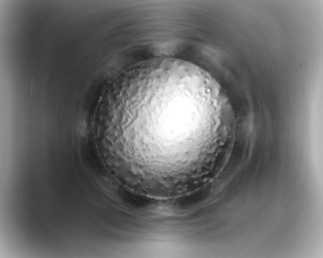X0000089760655200706211544