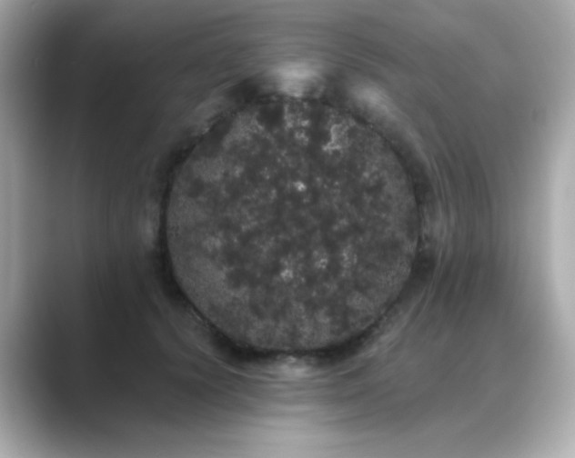 X0000089760656200706211544
