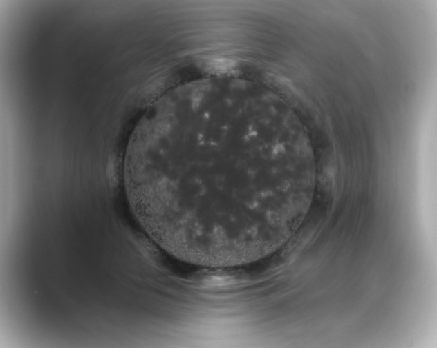 X0000089760658200706211544