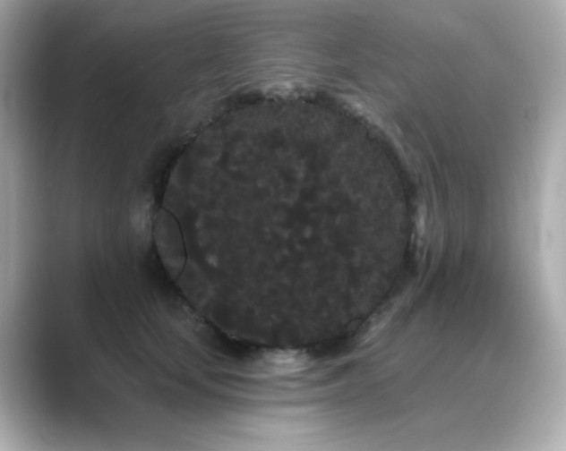 X0000089760659200706211544