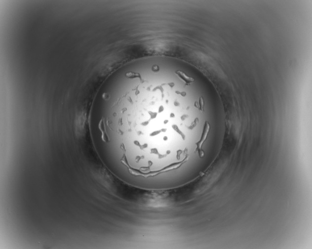 X0000089760660200706211544