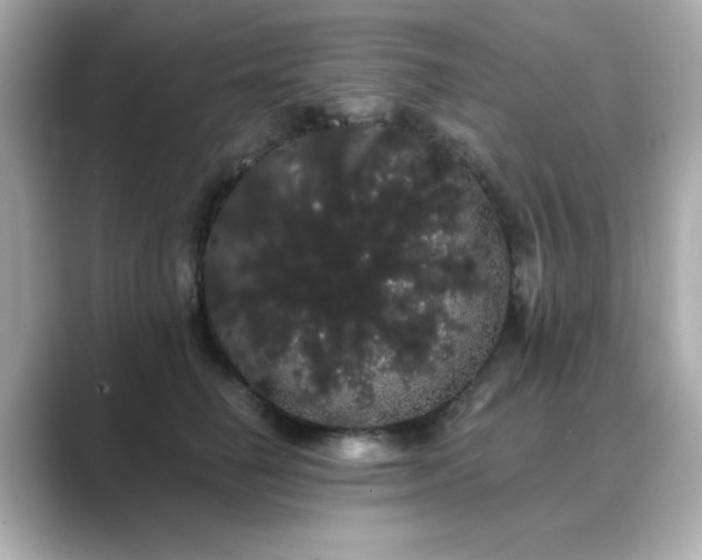 X0000089760662200706211544