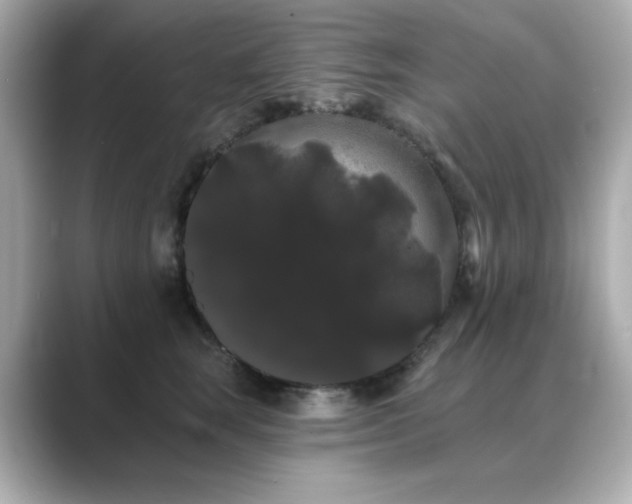 X0000089760663200706211544