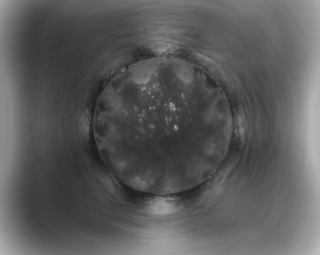 X0000089760664200706211544