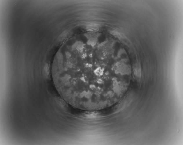 X0000089760667200706211544