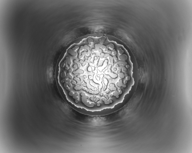 X0000089760670200706211544