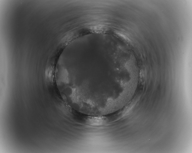 X0000089760671200706211544