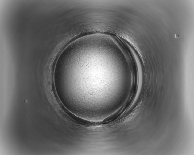X0000089760673200706211544