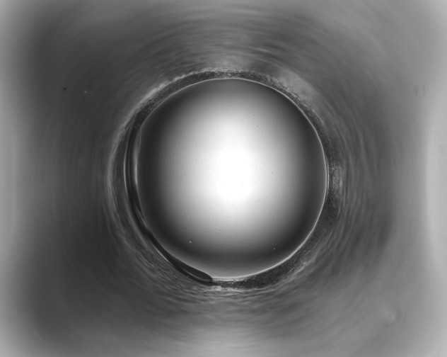 X0000089760676200706211544