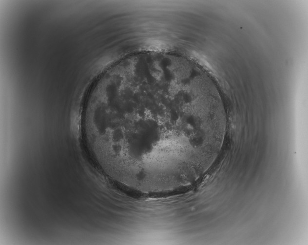 X0000089760679200706211544
