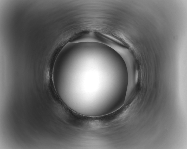 X0000089760685200706211544