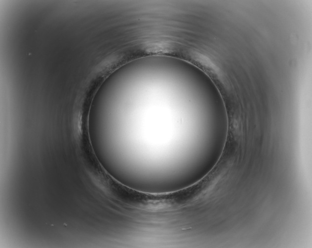 X0000089760686200706211544