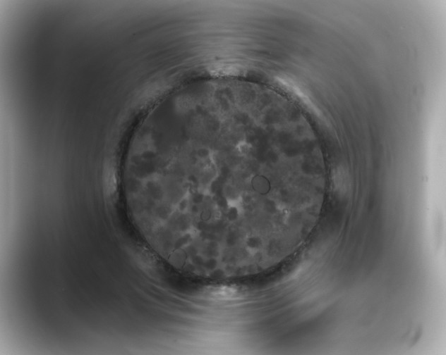 X0000089760687200706211544