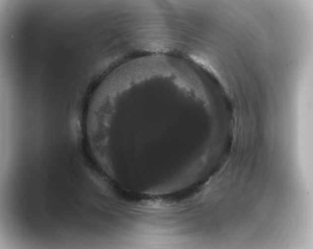 X0000089760688200706211544
