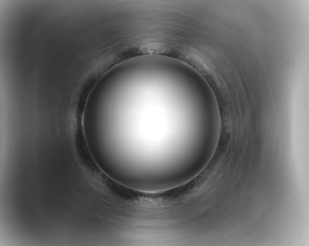 X0000089760690200706211544