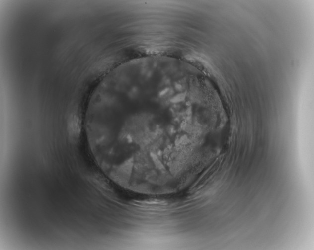 X0000089760691200706211544