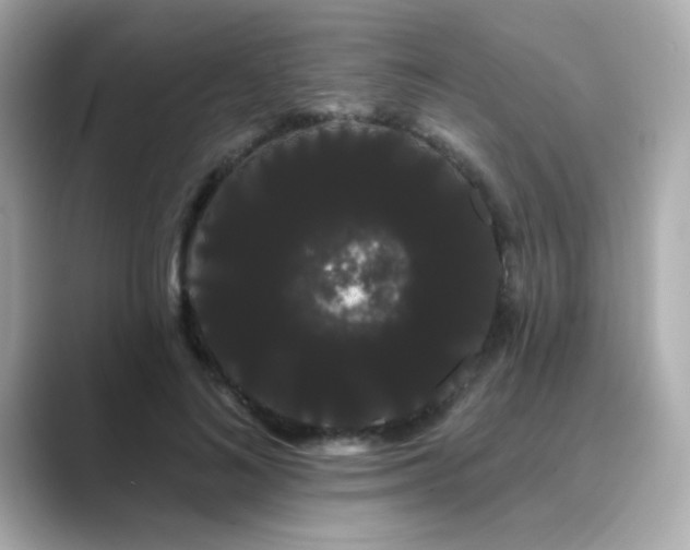 X0000089760692200706211544