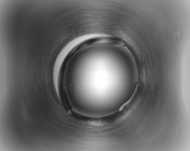 X0000089760693200706211544