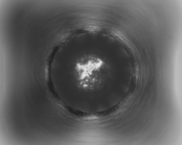 X0000089760696200706211544