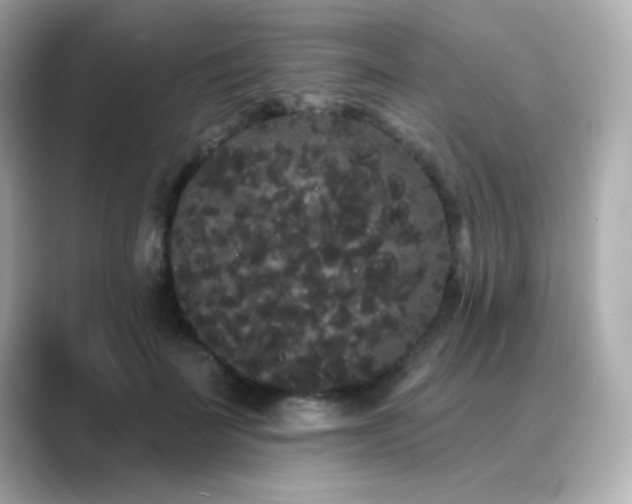 X0000089760699200706211544
