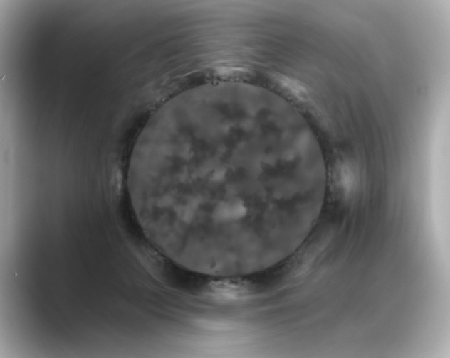 X0000089760703200706211543