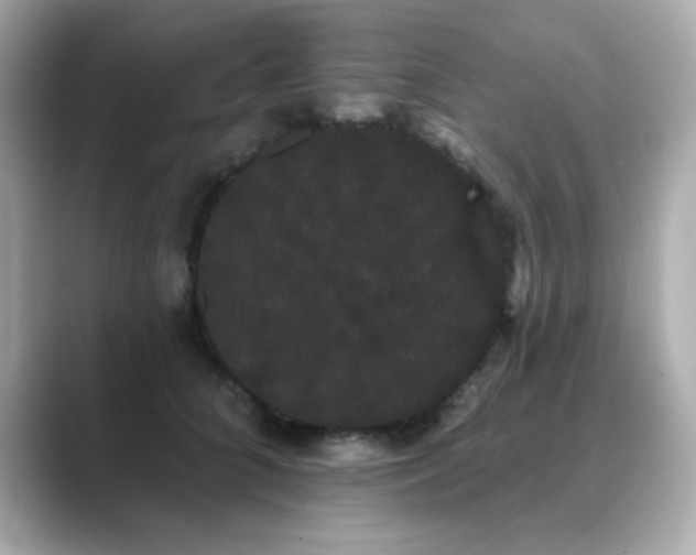 X0000089760704200706211543