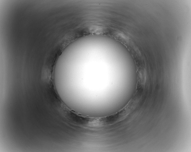 X0000089760705200706211543