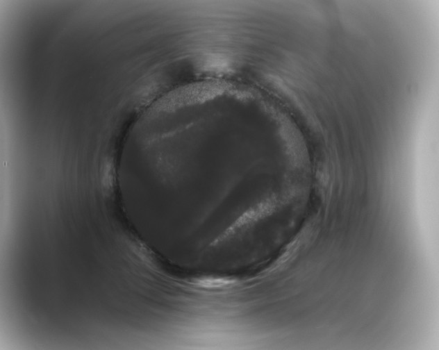 X0000089760708200706211543