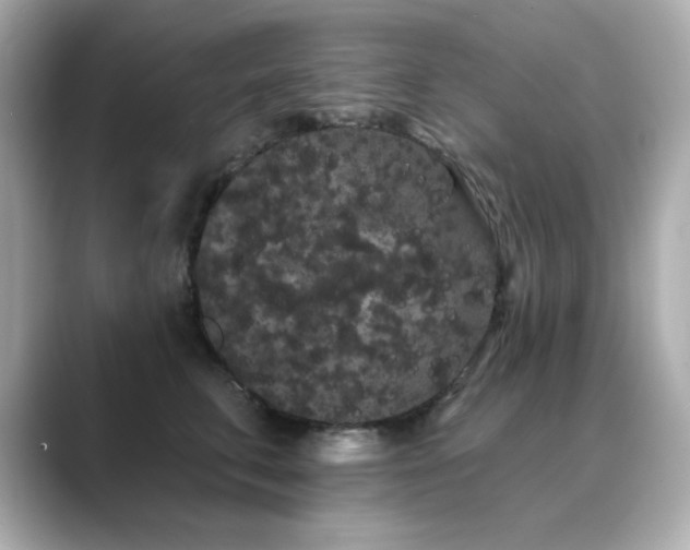 X0000089760711200706211543