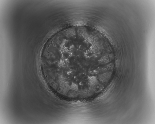 X0000089760721200706211543