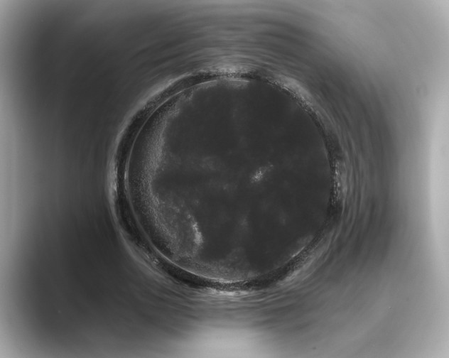 X0000089760726200706211543