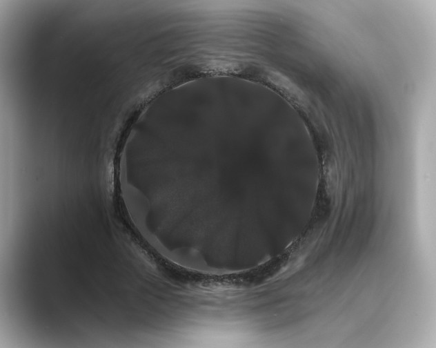 X0000089760729200706211543