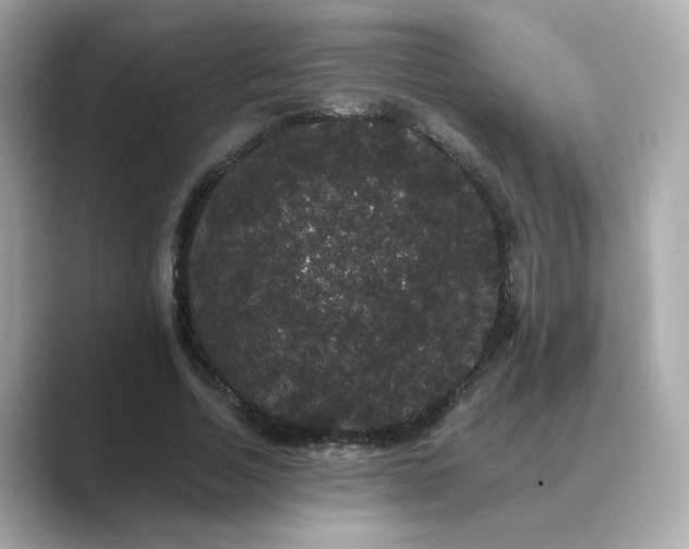 X0000089760730200706211543