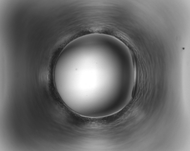 X0000089760732200706211543