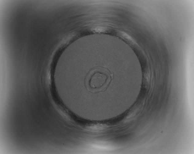 X0000089760734200706211543