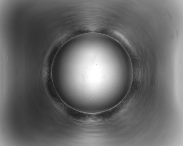 X0000089760736200706211543