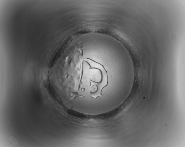 X0000089760737200706211543