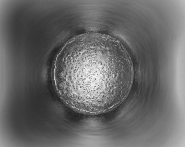 X0000089760738200706211543