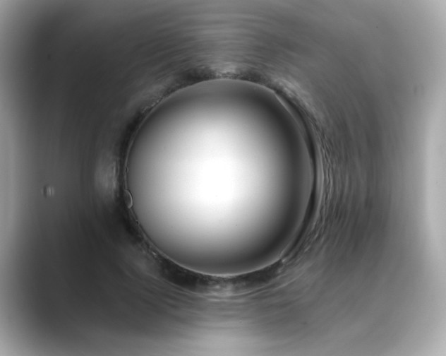 X0000089760740200706211543