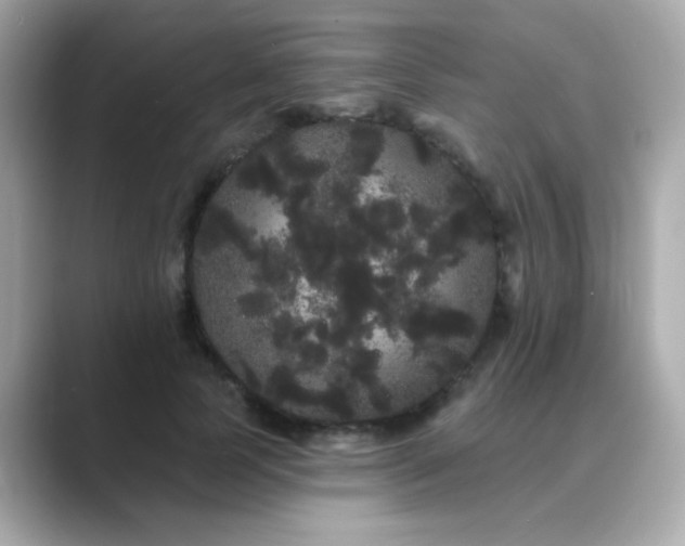 X0000089760745200706211543