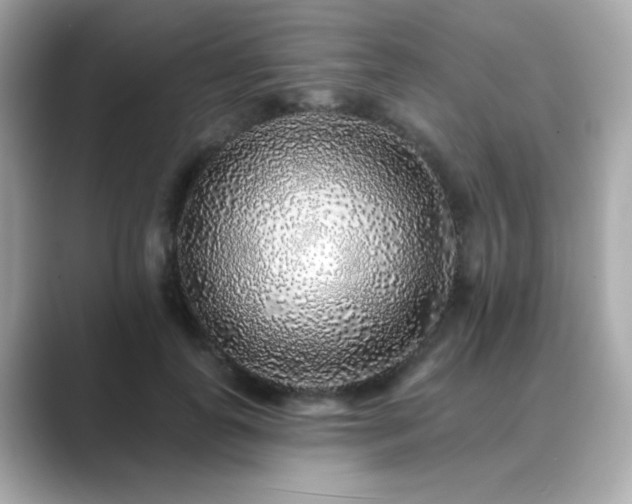 X0000089760747200706211543