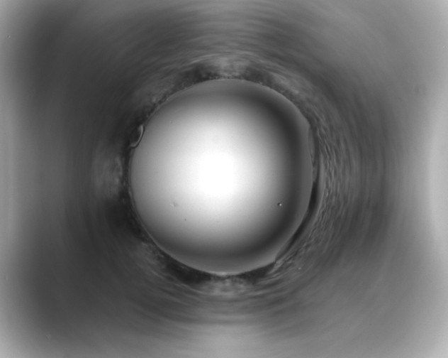 X0000089760752200706211543