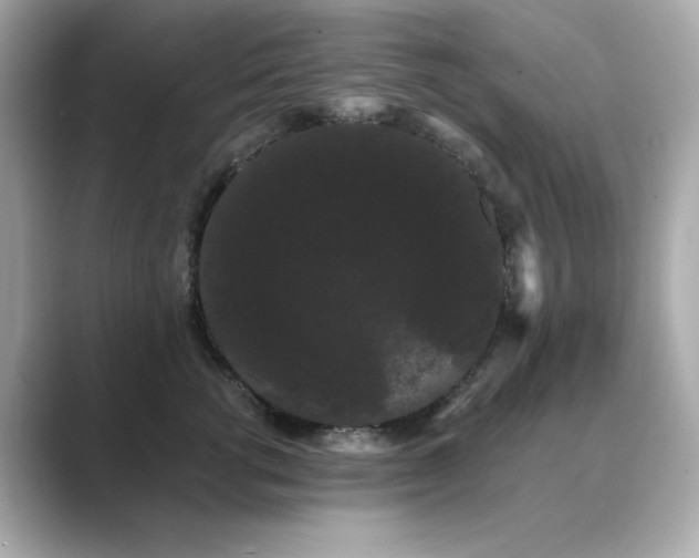X0000089760762200706211543