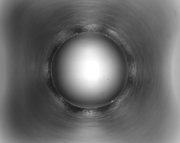 X0000089760764200706211543
