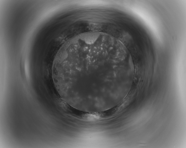X0000089760765200706211543