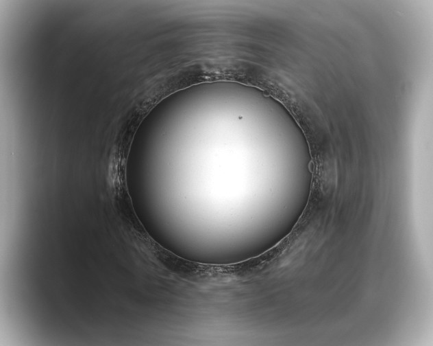 X0000089760770200706211543