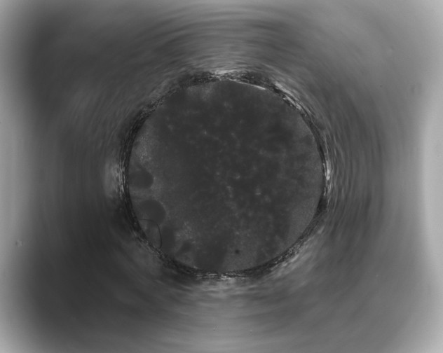X0000089760772200706211543